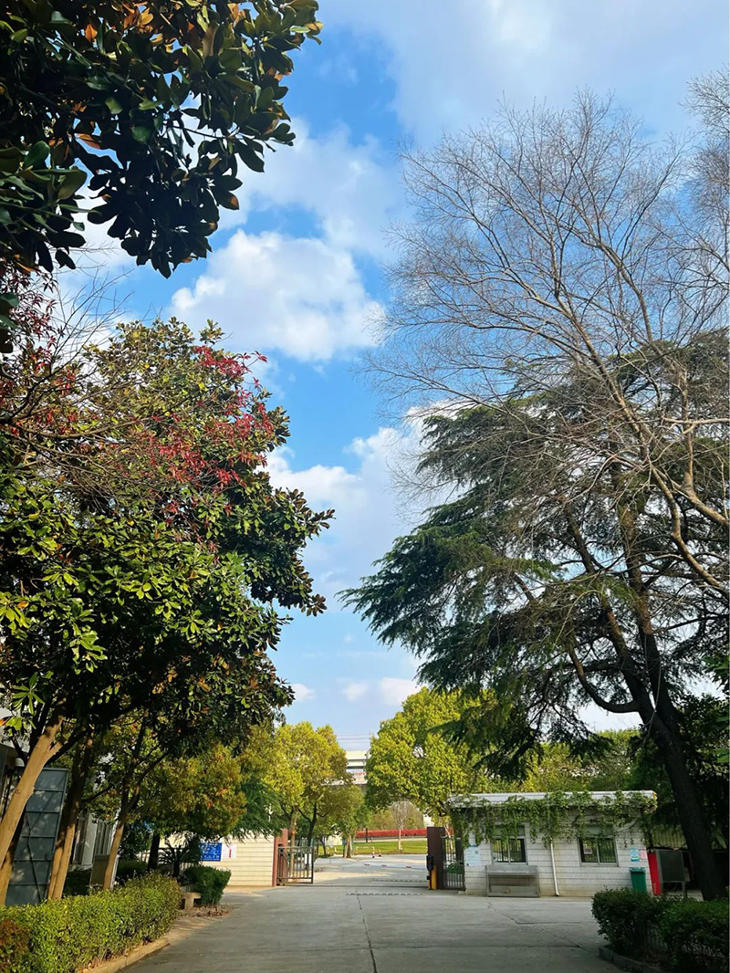 極致的康發雙螺桿擠出機工匠精神，支撐著在追逐夢想的旅程中穩步邁進。