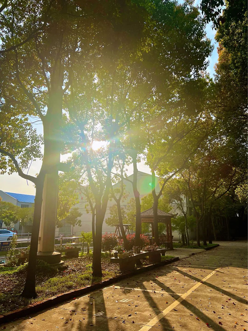 極致的康發雙螺桿擠出機工匠精神，支撐著在追逐夢想的旅程中穩步邁進。