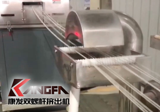 65高扭+PLC，尼龍加纖雙螺桿擠出機試機